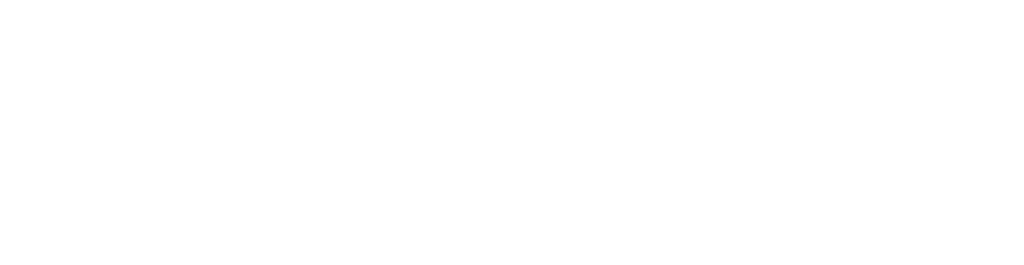Capacity Counselling